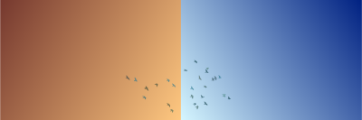 monitor test 5